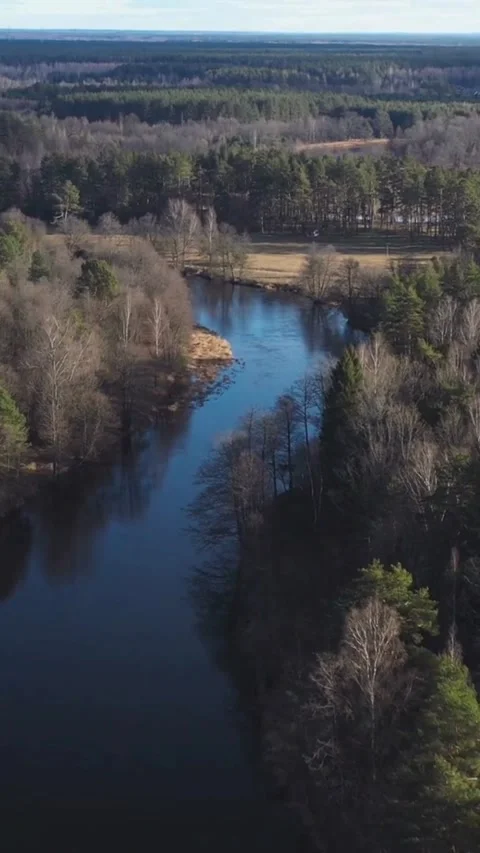 Aerial view of winding river through forest in autumn Vídeos de archivo 334169005