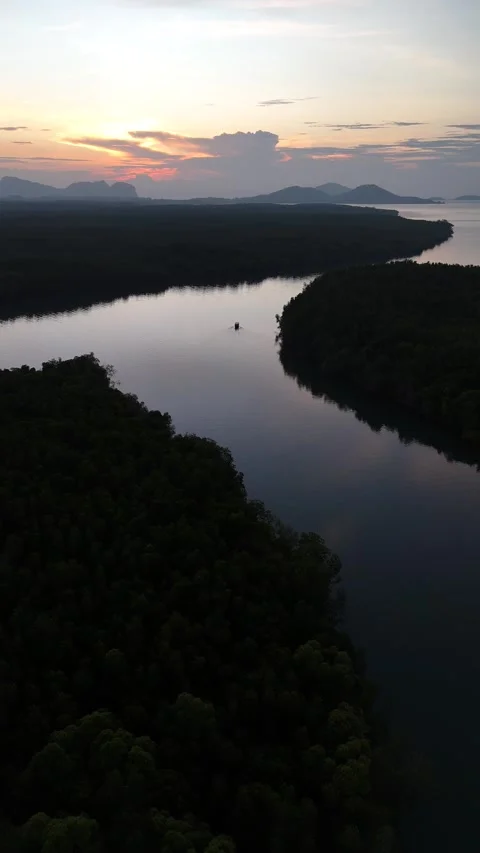 Aerial View of a Winding River Through Mangrove Forest at Sunrise in Koh Lanta, Stock Footage 335945576
