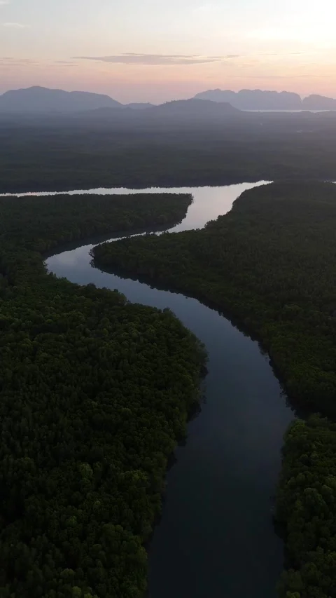 Aerial View of Winding River Through Mangrove Forest at Sunrise in Koh Lanta, Stock Footage 335945994