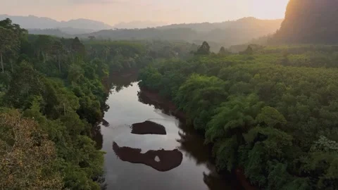Aerial View of a Winding River Through Lush Rainforest at Sunrise 動画素材 337806555