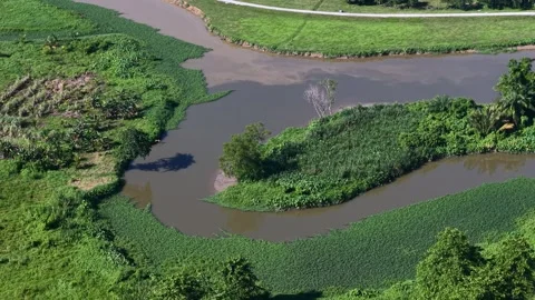 Aerial View of Winding River Through Trees in a Nature Reserve 库存影片 339835436