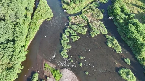 Aerial view of a winding river through lush greenery Stock Footage 340917533