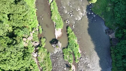 Aerial view of a winding river through dense green forest Stock Footage 340918132