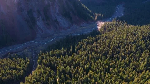 Aerial View of Winding River Through Dense Evergreen Forest in Autumn Landscape Stock Footage 342118082