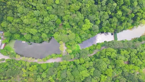 Aerial View of Winding River Through Lush Green Forested Park Landscape Stock Footage 342215224