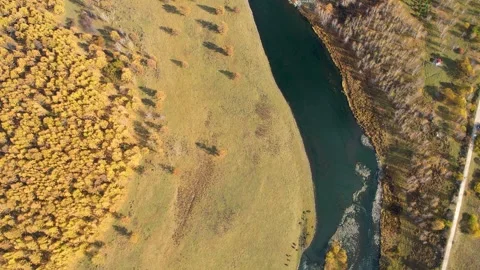Aerial view of a winding river through an autumn forest and grassy meadow Видео 347038791