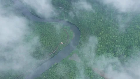 Aerial view of a winding river through a lush green tropical forest Video stock 347042445