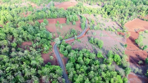 Aerial view Winding Road cuts by dense woodland patch Vídeos de archivo 313667305