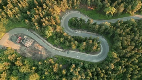 Aerial view of winding road in forest Stock Footage 201160129
