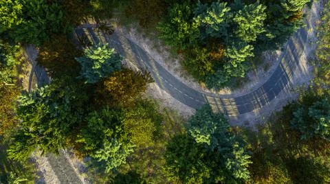 Aerial view of winding road in the morning forest, road trip concept. Stock Illustration