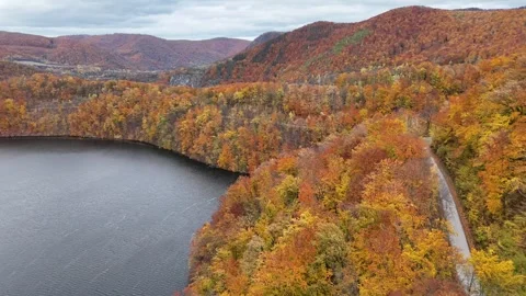 An aerial view of a winding road running through colorful autumn forest Stock Footage 328627637