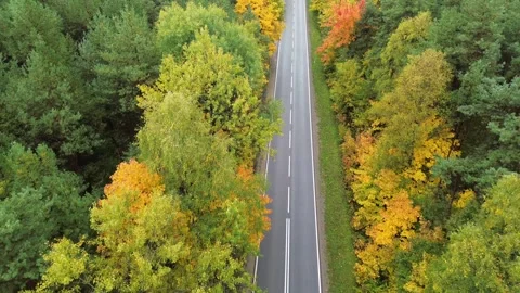 Aerial view of a winding road surrounded by vibrant autumn foliage, showcasing Stock Footage 335892557