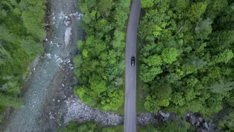 Aerial View of Winding Road Through Lush Green Forest Stock-Footage 277469077