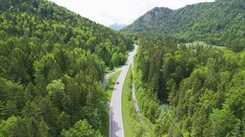 Aerial View of Winding Road Through Lush Forest in the Bavarian Alps Stockbeeldmateriaal 277801076