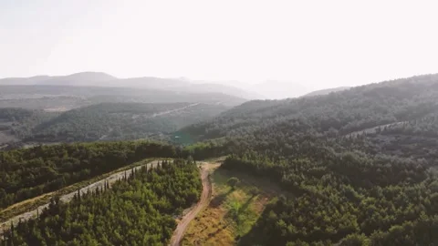 Aerial View of Winding Road Through Lush Green Forest and Rolling Hills Video stock 309282813