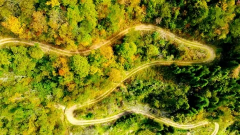 Aerial View of Winding Road Through Lush Green Forest 스톡 동영상 309547687
