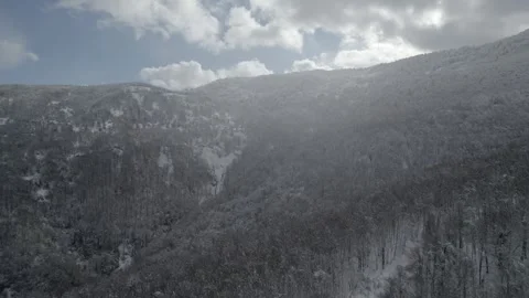 Aerial view of a winding road through a snowy forest. Stock Footage 310028385