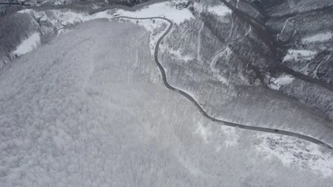Aerial view of a winding road through a snowy forest. Stock Footage 310028405