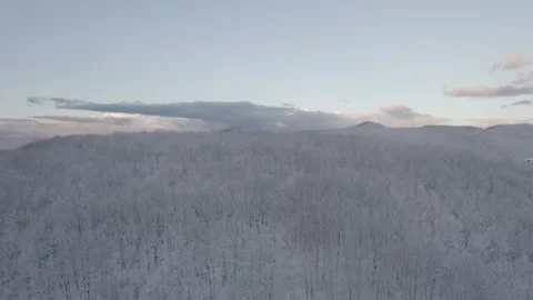 Aerial view of a winding road through a snowy forest. Stock Footage 310028406