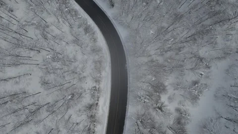 Aerial view of a winding road through a snowy forest. Stock Footage 310028411