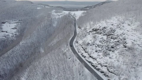 Aerial view of a winding road through a snowy forest. Stock Footage 310028412