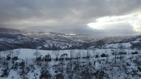 Aerial view of a winding road through a snowy forest. Stock Footage 310028414
