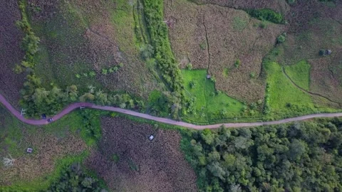 Aerial View of Winding Road Through Varied Terrain Stock Footage 310418897
