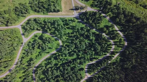 Aerial View of Winding Road Through Dense Green Forest. Stock Footage 311419256