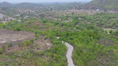 Aerial View of Winding Road through Hilly Forest Terrain Stock Footage 312364718