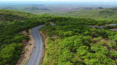 Aerial view of winding road through lush green landscape with distant mountains Stock Footage 313313620