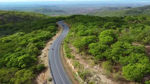 Aerial view of winding road through lush green forest with vehicle and Stock Footage 313314287
