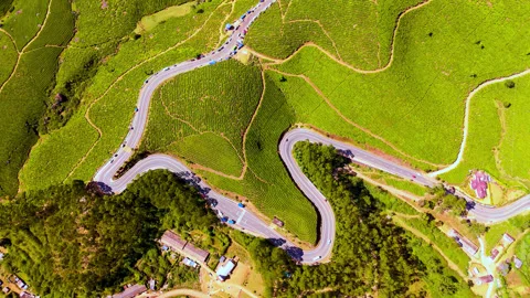 Aerial view of winding road through lush green tea plantations in Munnar Stock Footage 316455611