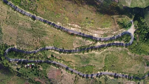 Aerial view of a winding road through a lush, green landscape with trees and Stock Footage 316950251
