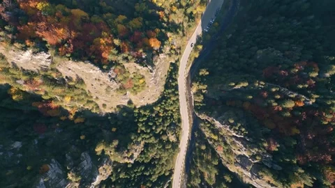 Aerial View of Winding Road Through Autumn Mountains and Forest Nature Stock Footage 319404398