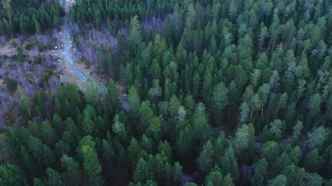 Aerial View of a Winding Road Through a Dense Forest in the North Caucasus, Russ Stock Footage 320855707