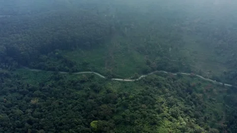 Aerial View of Winding Road Through Dense Forest Near Ooty Tamil Nadu Video stock 331224576