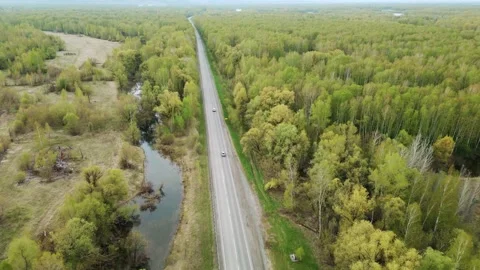 Aerial view of a winding road through dense green forest Stock Footage 331619642