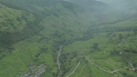 Aerial view of winding road through tea plantations in Munnar Kerala India Stock-Footage 333161079