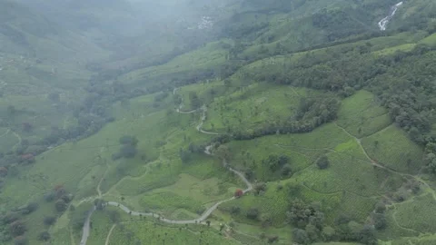 Aerial view of winding road through tea plantations in Munnar Kerala India 動画素材 333161091