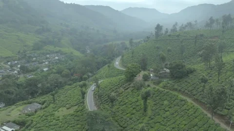 Aerial view of winding road through tea plantations in Munnar Kerala India Stock Footage 333161128