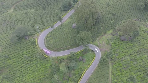 Aerial view of winding road through tea plantations in Munnar Kerala India 스톡 동영상 333161192
