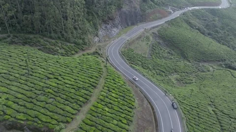 Aerial view of winding road through tea plantations in Munnar Kerala India Stock Footage 333161335