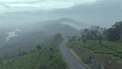 Aerial view of winding road through tea plantations in Munnar Kerala India Video stock 333161368