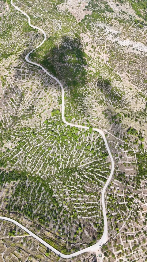 Aerial view of winding road through croatian lavender fields on hvar island Video stock 336352113