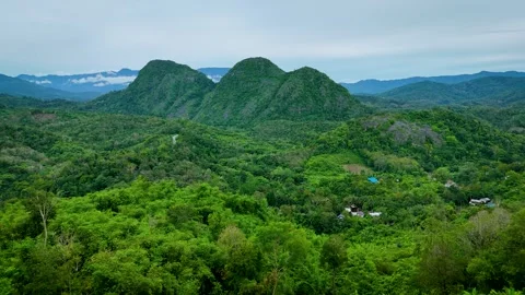 Aerial View of Winding Road Through Tropical Forest Below  Twin Peaks Stock-Footage 336482647