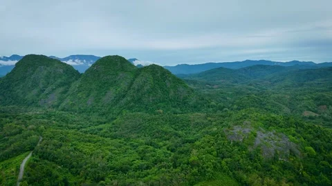 Aerial View of Winding Road Through Tropical Forest Below  Twin Peaks Stock-Footage 336482651