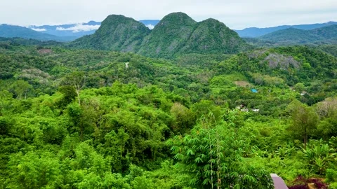 Aerial View of Winding Road Through Tropical Forest Below  Twin Peaks Stock-Footage 336482653
