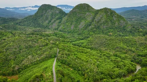Aerial View of Winding Road Through Tropical Forest Below  Twin Peaks Stock-Footage 336482665