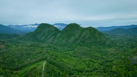Aerial View of Winding Road Through Tropical Forest Below  Twin Peaks Stock-Footage 336482669