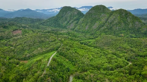Aerial View of Winding Road Through Tropical Forest Below  Twin Peaks Stock-Footage 336482675